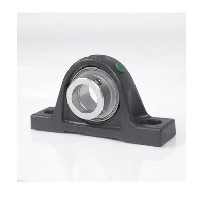 Ntn Stehlager-Gehäuseeinheit UCP215 D1 75mm Gewindestifte Gehäuse/-einheiten