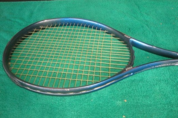 prince cts thunderstick 110