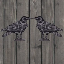 Raven Embroidered Patch — 2-Pack — Iron On