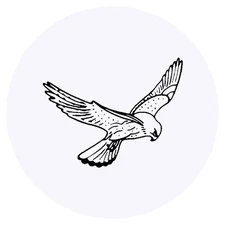 24 x 'Kestrel' Stickers - for Crafts, Scrapbooking and Labelling (SK00012906)