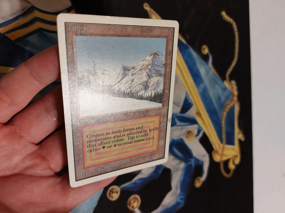 Taiga MTG Unlimited Rare Land Heavily Played x1 GG4 - Image 3 of 4