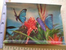 Postcard 3-Dimensional Card Butterflies and Flower Art Print