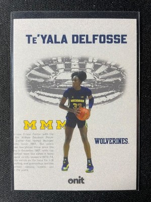 2025-26 Onit Te'Yala Delfosse Vestige SP #VS-6 Michigan Wolverines!!!