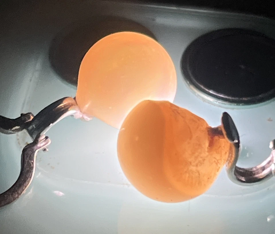 Boucles d'oreilles or blanc 18K 4,9g avec perles de culture naturelles baroques - Immagine 2 di 4