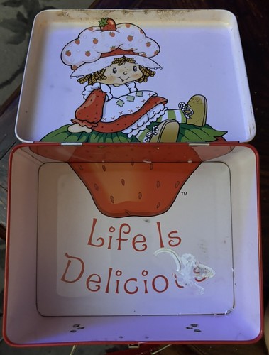 Porta pranzo torta corta fragola latta vintage avere una bacca bella giornata carina! - Foto 6 di 9