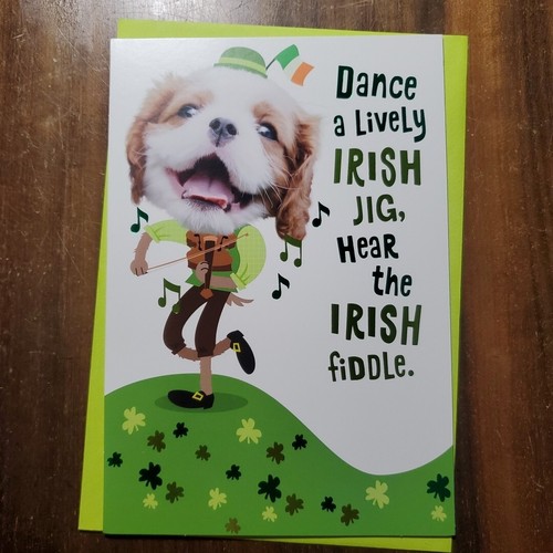 St. Patrick's Day for Anyone Hallmark Card Leprechaun Puppy Fiddle Green Lucky - Picture 1 of 4