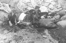 WW2 Picture Photo Iwo Jima dog receiving instructions from US Marine Corps 4565