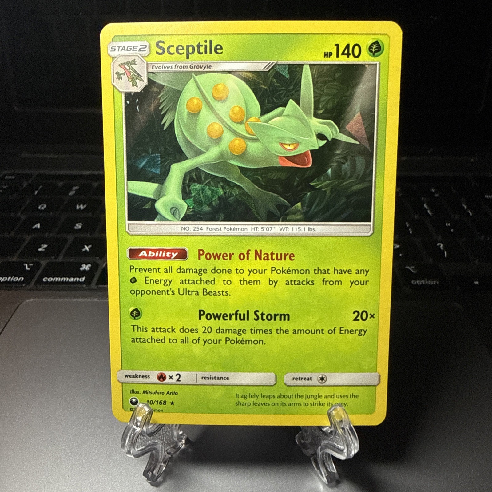 Sceptile 10/168 Celestial Storm Cracked Ife Holo Rare English 2018 NM