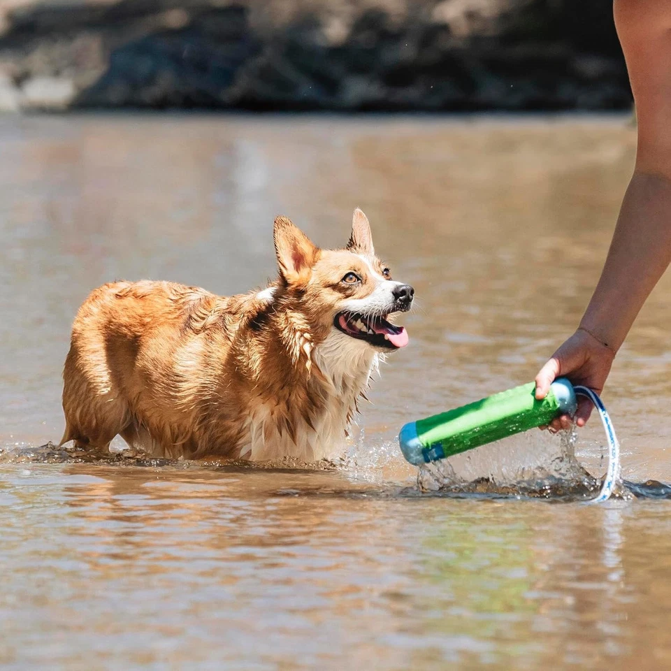 CHUCKIT! AMPHIBIOUS BUMPER DOG TOY WITH ROPE FLOATING FETCH WATER TOY MEDIUM - Image 4 of 4