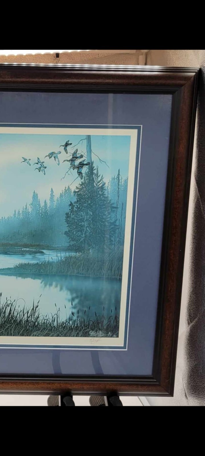 Picture 5 of 16