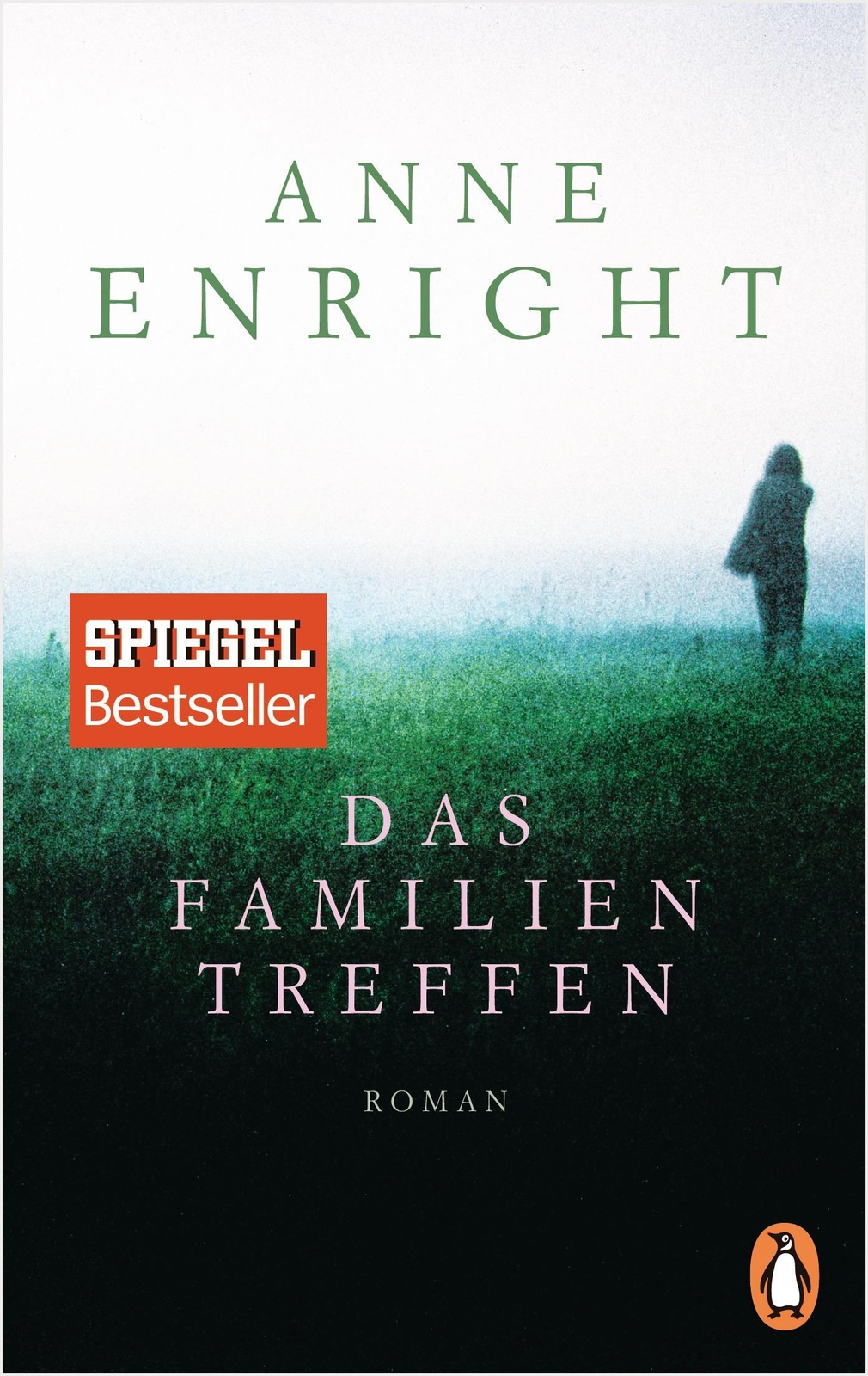 Thumbnail - Das Familientreffen | Anne Enright | Taschenbuch | 368 S. | Deutsch |