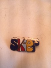 Skier Pin .