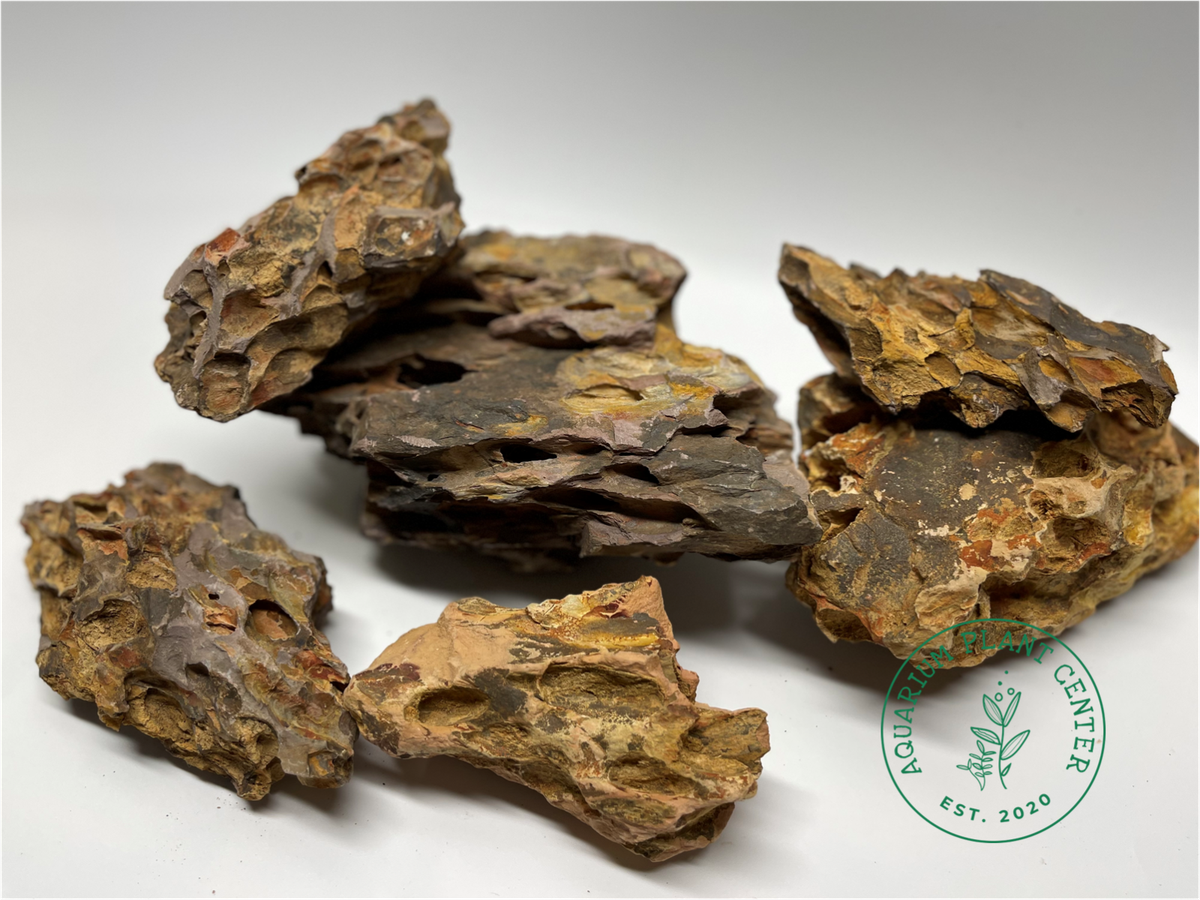 Rilievo Di Pietra Cinese Del Drago Immagine Stock - Immagine Di Cinese Del Drago Image23541437 - Foto 10