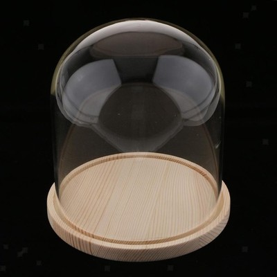 Holz Glaskuppel mit Holzsockel Cloche Glasabdeckung Blumenvase Halter