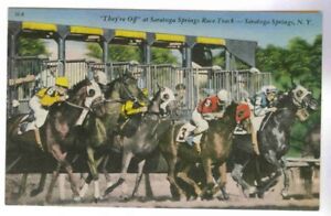 Saratoga And They Re Off At Starting Gate Great View Thoroughbred Horses Pc Ebay