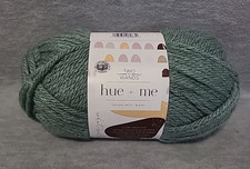 New Lion Brand Two of Wands Hue  Me Yarn Lot Agave  173Z Green Gray
