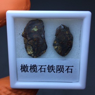Sericho Olivine Iron Meteorite from Kenya 2pcs 4.2g