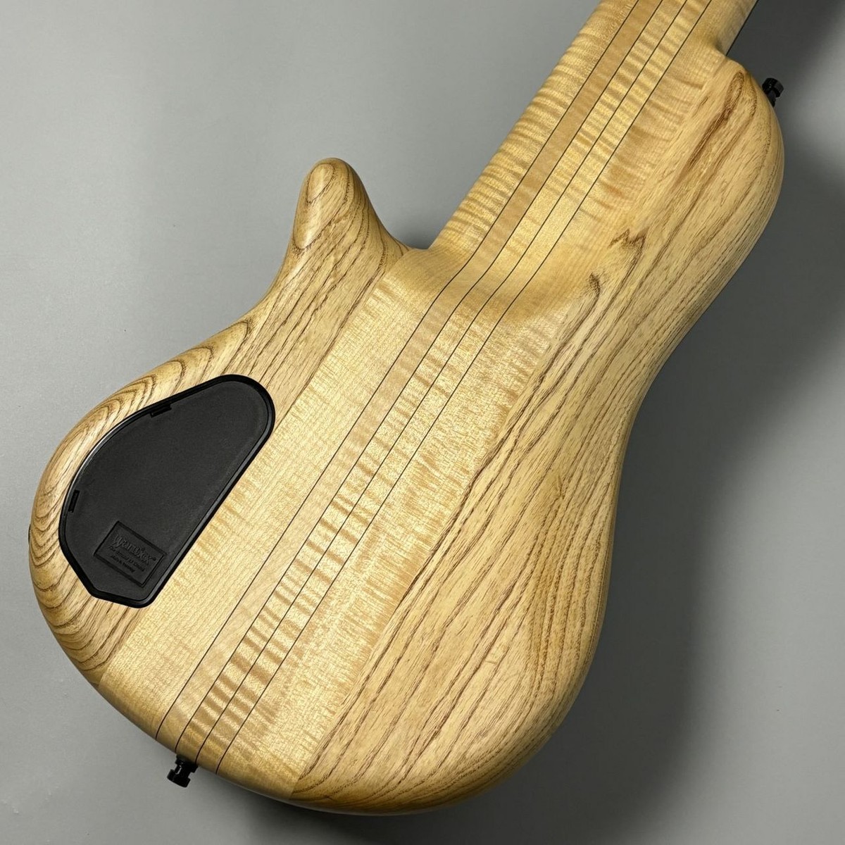 ベース Warwick Thumb Bass Warwick Thumb Bass ワーウィックサムベース