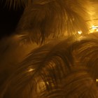 Bild 9 von 11