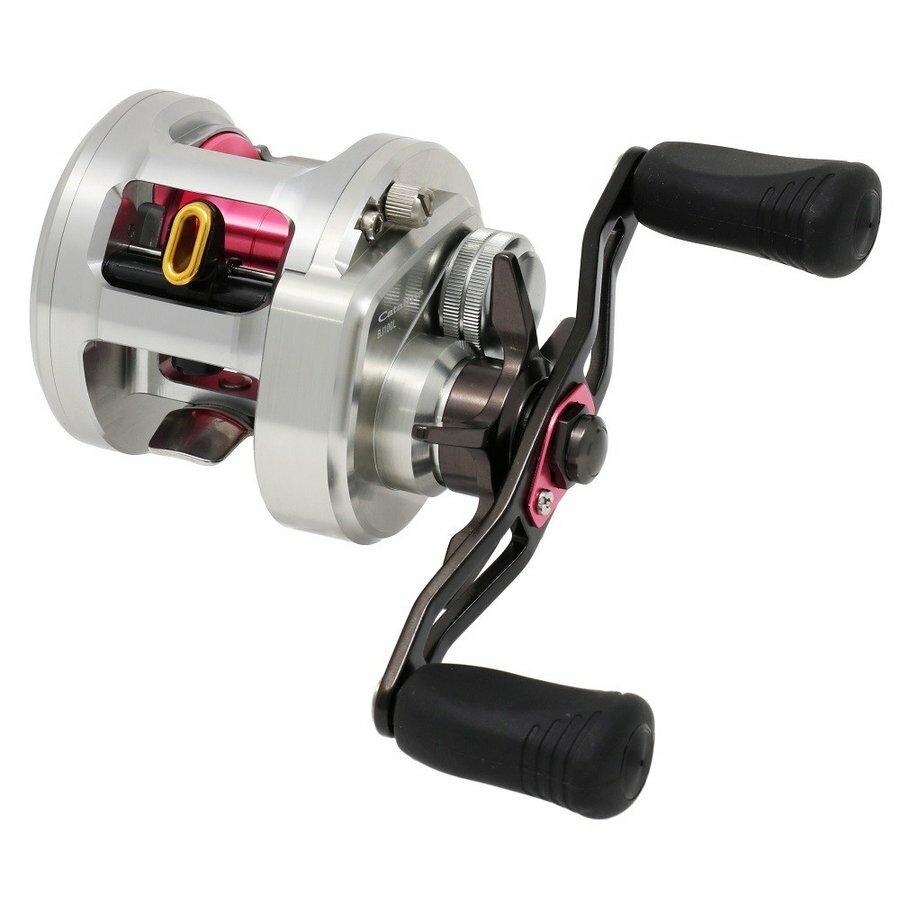 DAIWA Catalina BJ100PL-RM