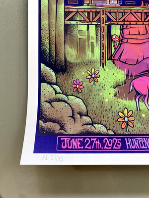 REAL* Dave Matthews Band Chicago Concert Poster AE x/95 Jim Mazza