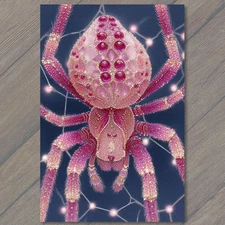 Art Print Pink Jewel Spider Sparkling Web Glitter Lights Fantasy Insect Design