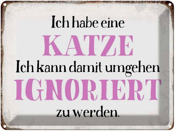 Blechschild 30X40 Cm Habe Katze Kann Ignoriert Werden Deko Geschenk Metall Schil-image