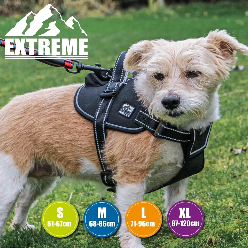 Arnés Extreme para perros - negro. Ajustable, resistente, acolchado, exterior. 4 tallas. Foto 3 de 4
