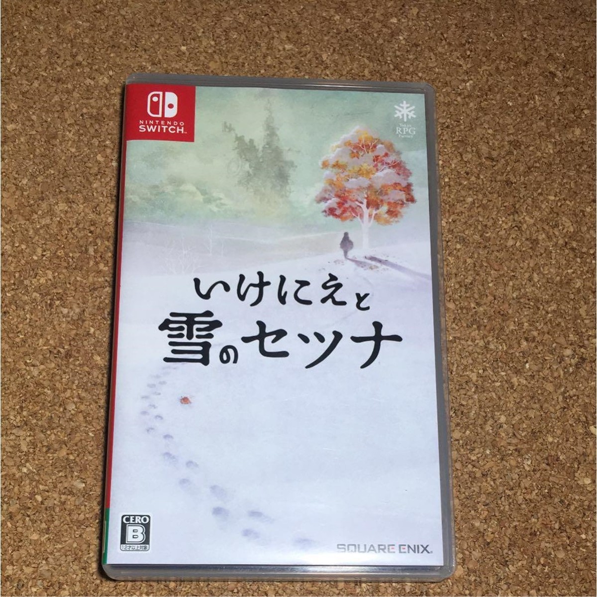 I Am Setsuna Ikenie to Yuki no Setsuna Nintendo Switch by Square