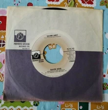 David Soul ‎– Silver Lady/Rider**1977**Private Stock Records**