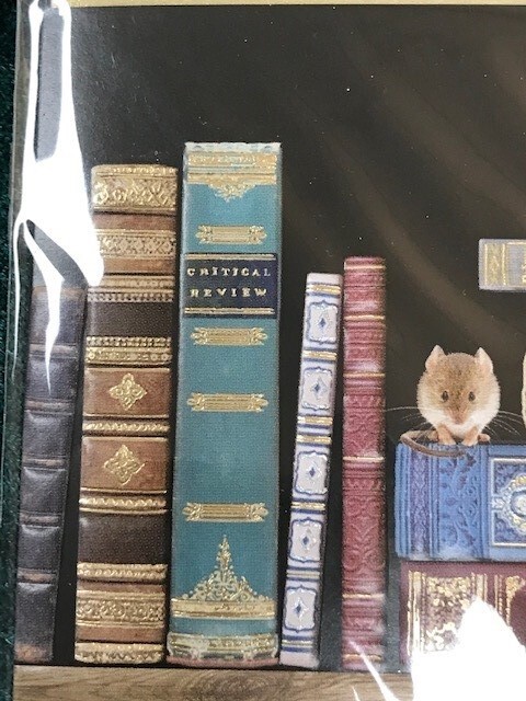 Picture 5 of 12