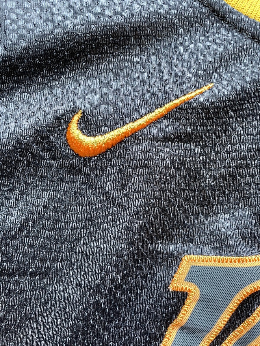 lebron james snakeskin jersey