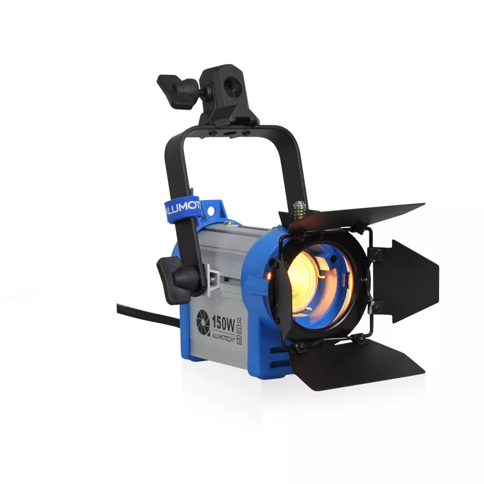 Tungsten cheap video light