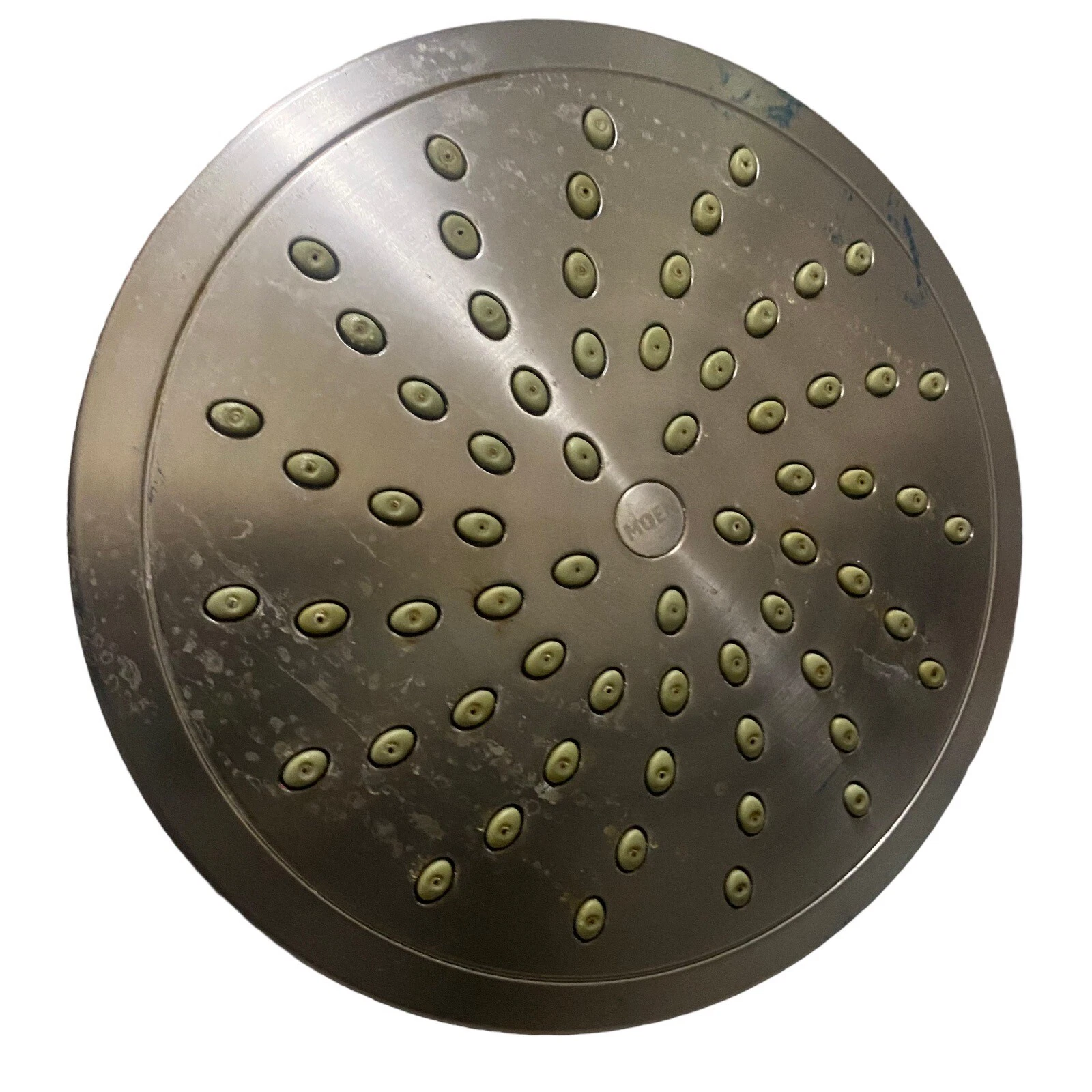 Morning 8” Rainfall Showerhead, 1.75gph,brushed nickel
