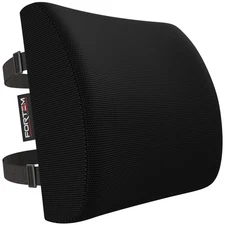Lumbar Support Cushion, Back Support for Office Chair and Car Seat, Back Rest...