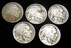 1913-P TYPE 1 BUFFALO NICKELS *LOT OF 5 COINS*