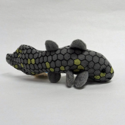 coelacanth plush