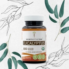 Secrets Of The Tribe Eucalyptus Capsules, 400 mg