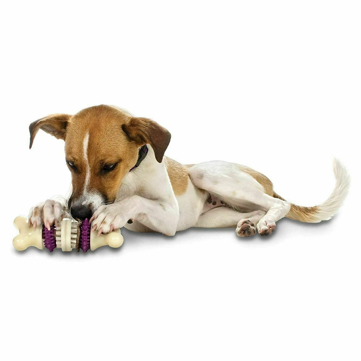 Busy buddy clearance bone