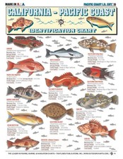 California to Pacific Coast Fish Identification #15 - Waterproof Quick Reference