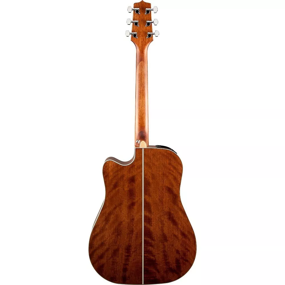 Takamine g 2024 series gd20ce ns