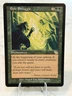 Magic the Gathering Epic Struggle Judgment Regular Card MTG NM