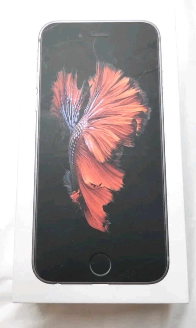 iPhone 6s Silver iOS for sale | eBay