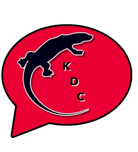 VAMPIRELLA TAROT CARDS SET DYNAMITE 2018 - Bild 2 von 2