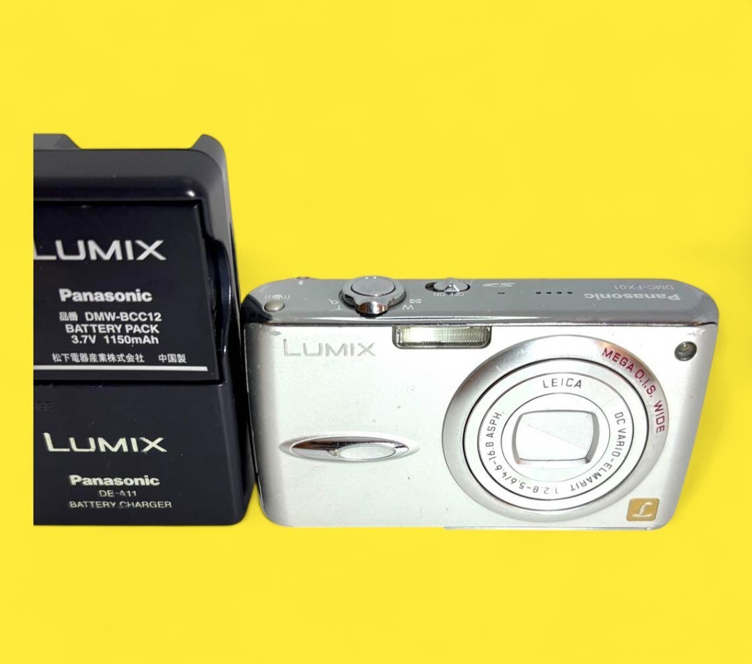 Panasonic LUMIX DMC-FX01 Compact Digital camera Silver