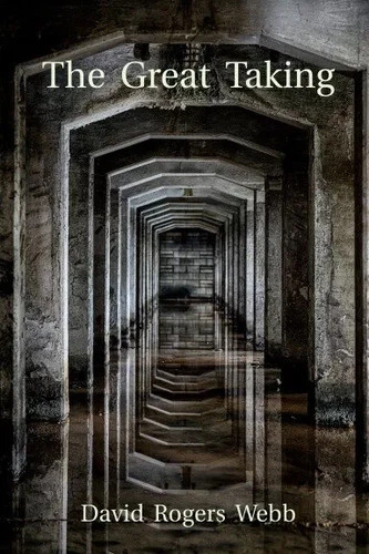 The Great Taking by David Rogers Webb USA Stock Premium Quality Fast Shipping