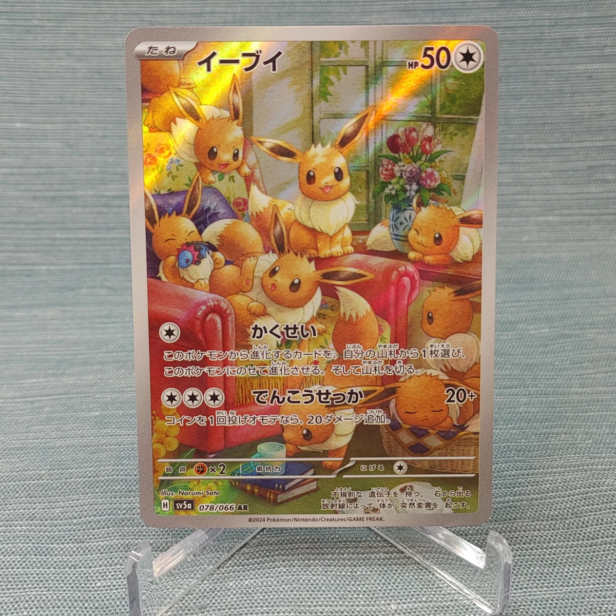 Eevee Pokémon TCG Nintendo Japanese Individual Collectible Card