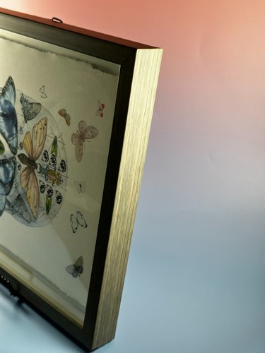 Marmont Blooming Butterfly Skull (Framed Shadow Box) inspired by Parvez Taj - Picture 16 of 20