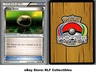 2013 Pokemon, B&W Plasma Freeze World Championships, #99/116 Float Stone, UC