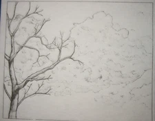 * TRI CHEM ND TREE Picture to Paint TRICHEM 912